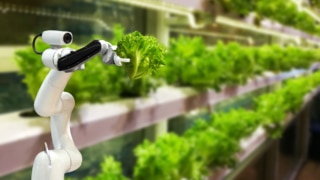 L’ESAIP acquiert un jardin connecté dans le cadre du territoire intelligent
