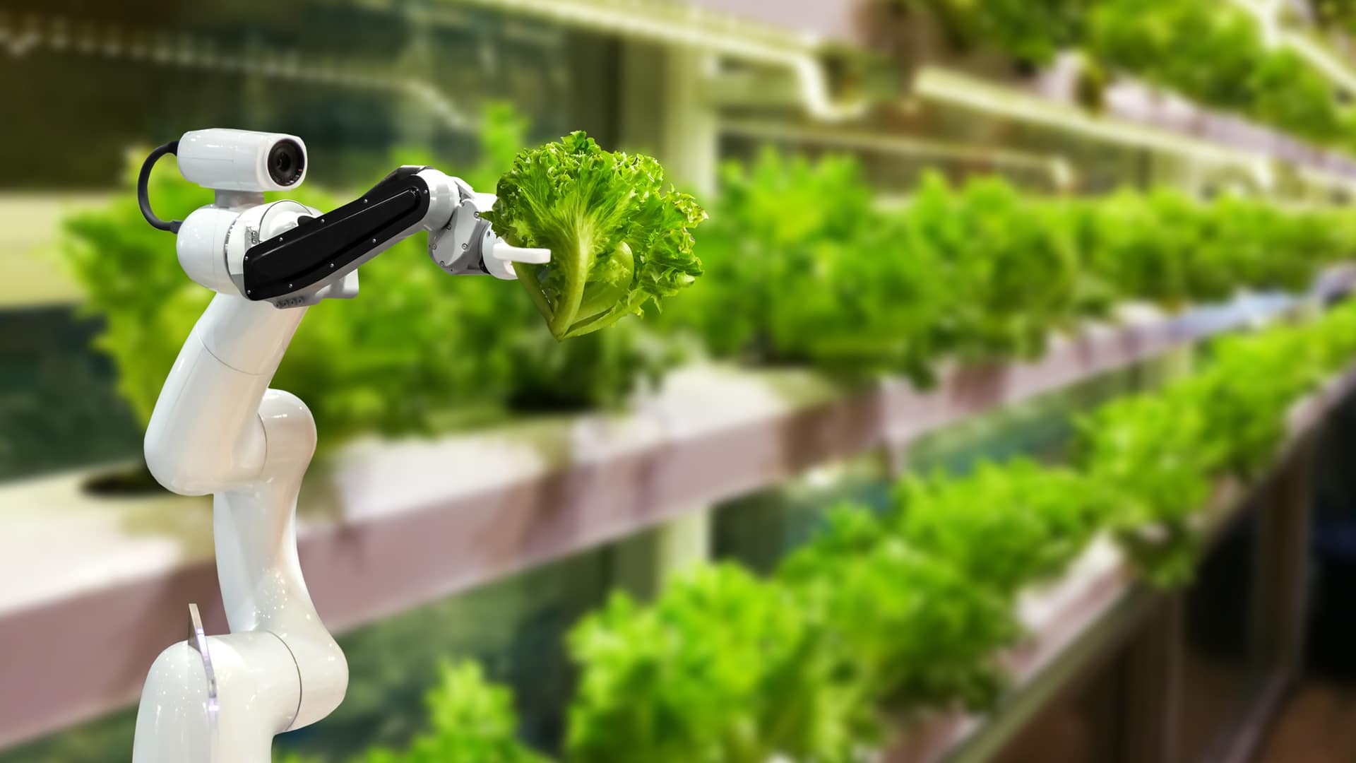 farm-bot-jardin-connecte