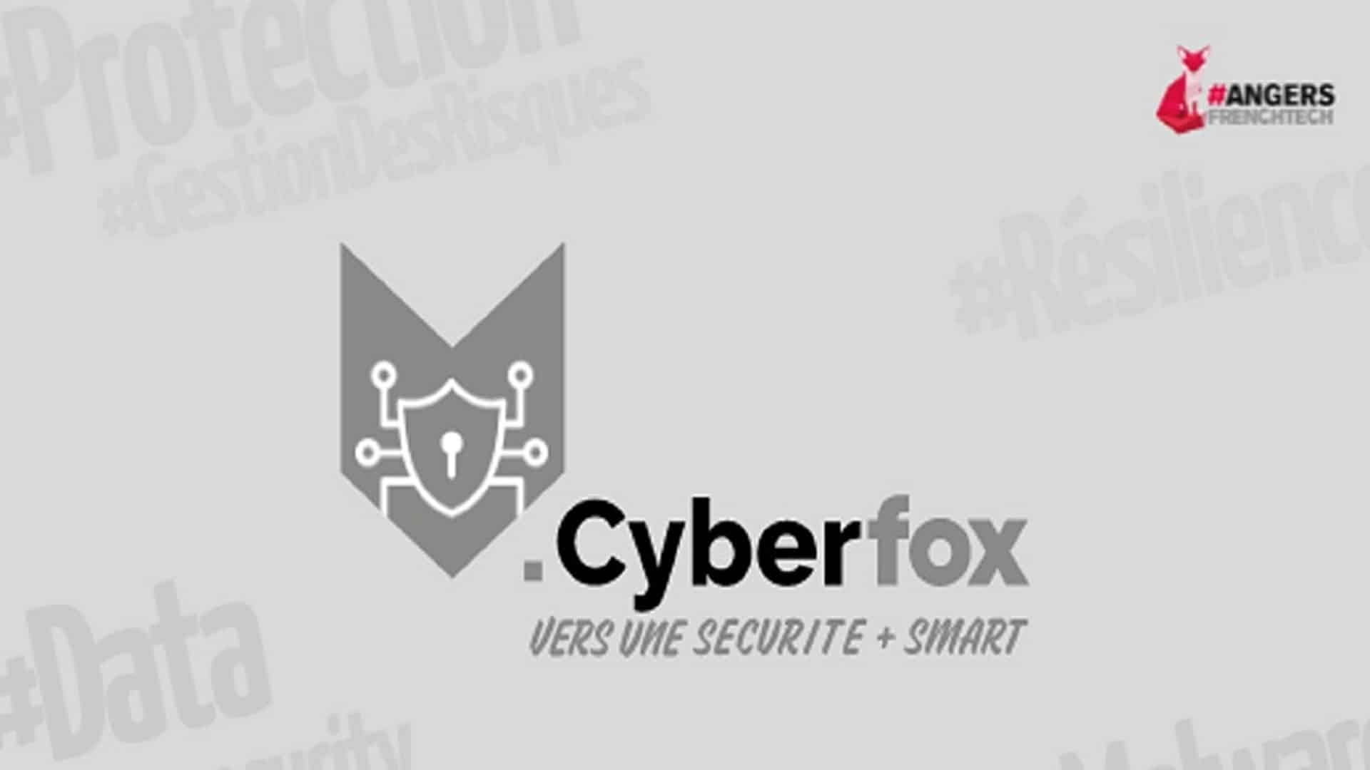 cyberfox
