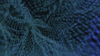 Bachelor Business et Data sciences