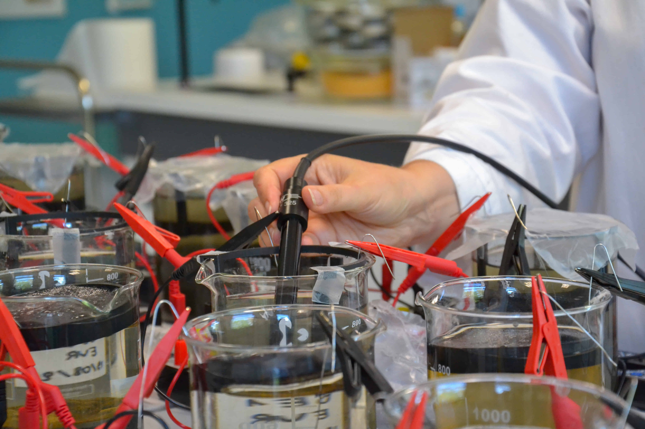 Biopiles bactériennes pour la dépollution de l’eau